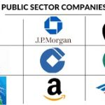 Public Sector Company