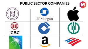 Public Sector Company